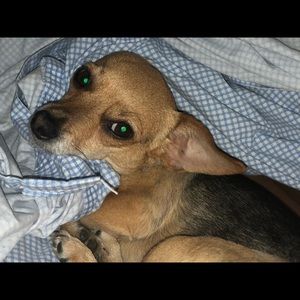 Meet your Posher, Stacy